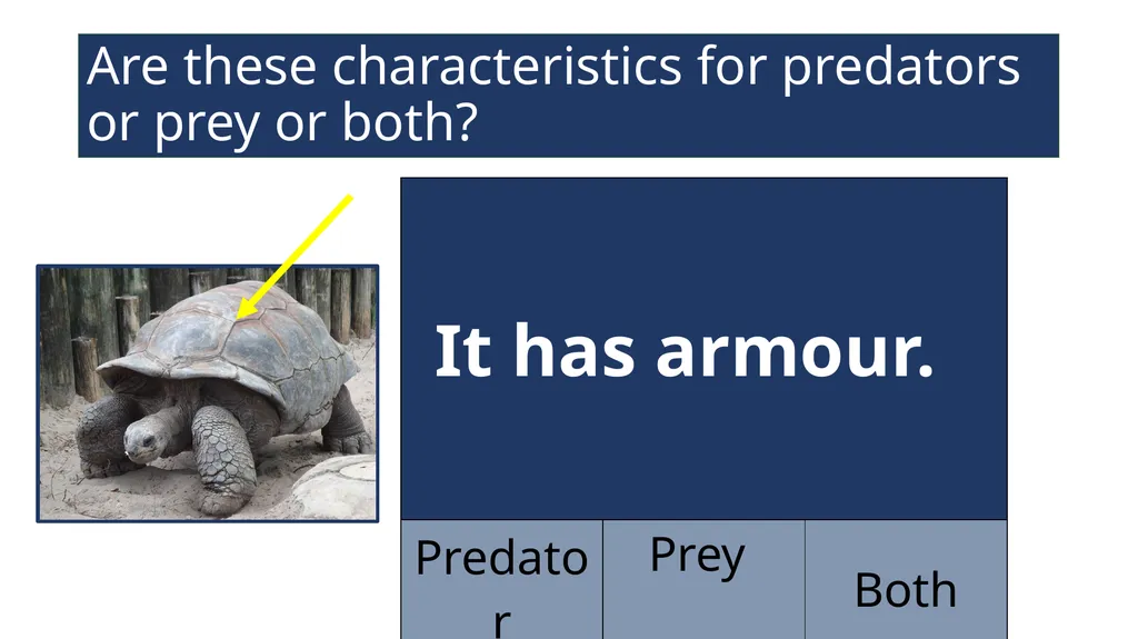 EAL Nexus Resource © Bell Educational Trust 2020 - slide 9 of 20