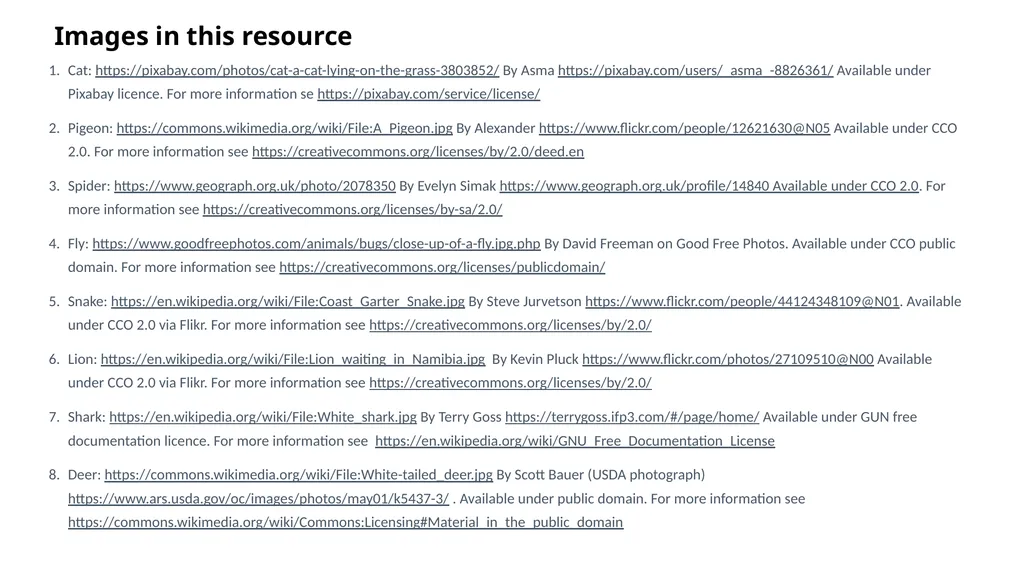 EAL Nexus Resource © Bell Educational Trust 2020 - slide 18 of 20