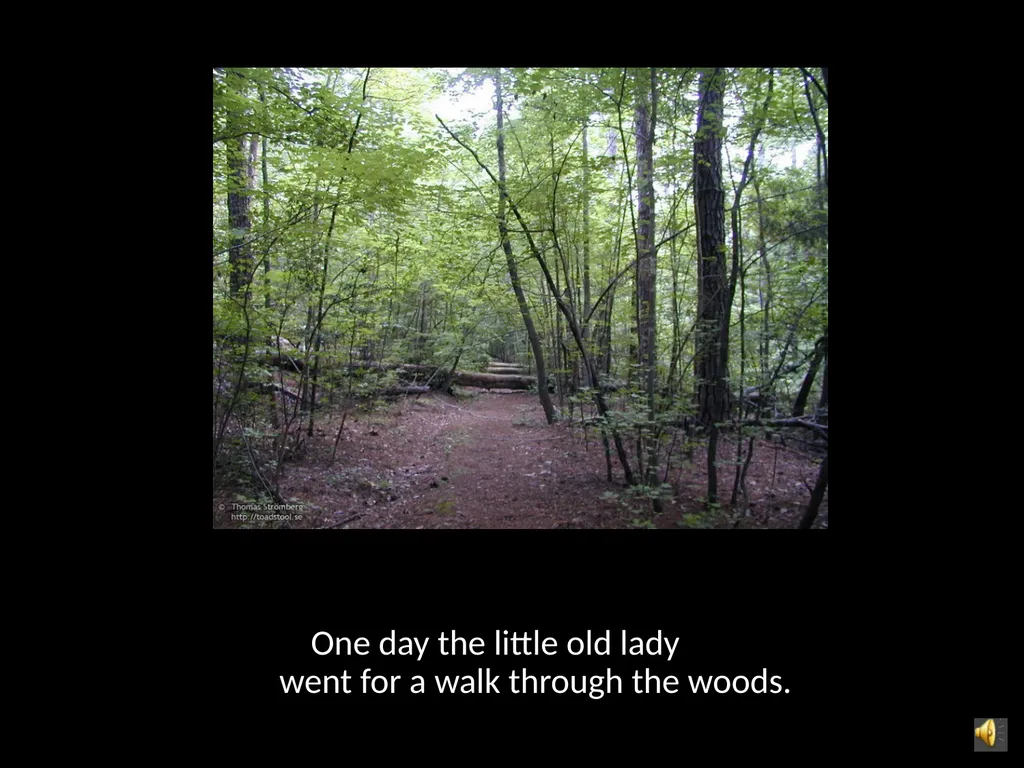 The Little Old Lady Who Was Not Afraid of Anything - slide 2 of 14