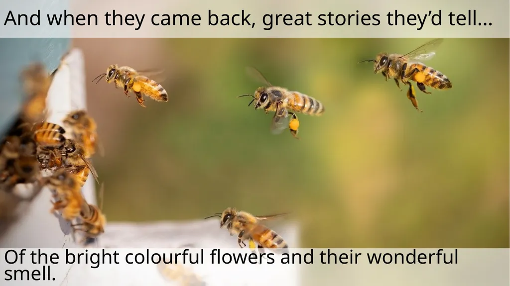 The Littlest Bee Author: Thomas Last In the - slide 8 of 26