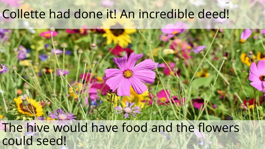 The Littlest Bee Author: Thomas Last In the - slide 23 of 26