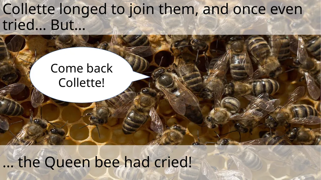 The Littlest Bee Author: Thomas Last In the - slide 9 of 26