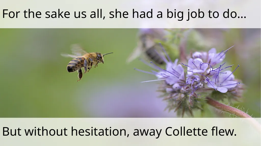 The Littlest Bee Author: Thomas Last In the - slide 17 of 26