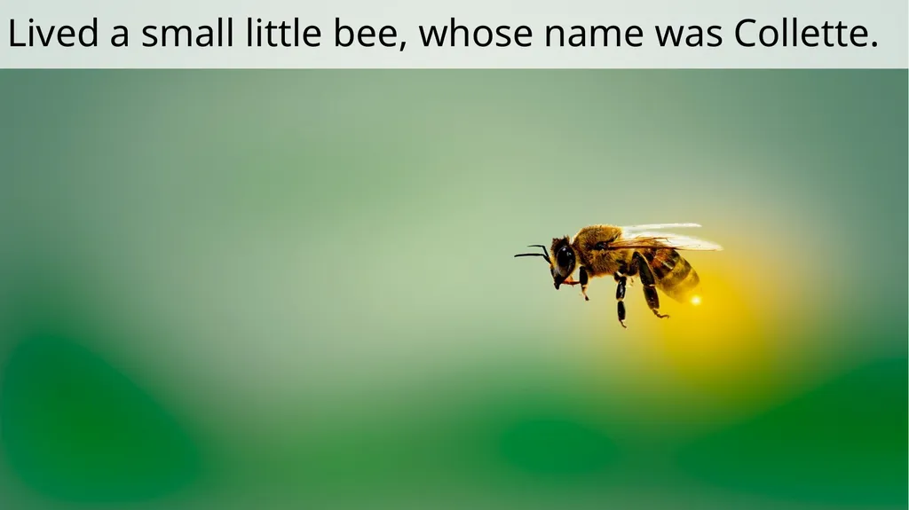 The Littlest Bee Author: Thomas Last In the - slide 3 of 26