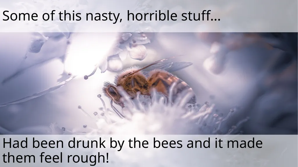 The Littlest Bee Author: Thomas Last In the - slide 14 of 26