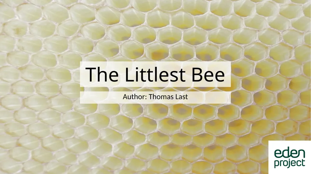 The Littlest Bee Author: Thomas Last In the - slide 1 of 26