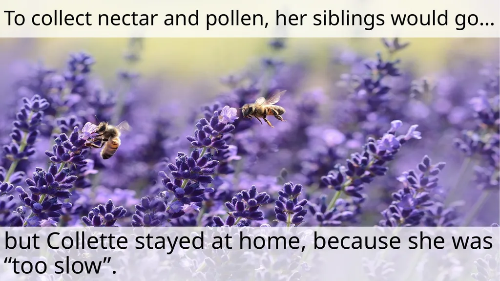 The Littlest Bee Author: Thomas Last In the - slide 7 of 26