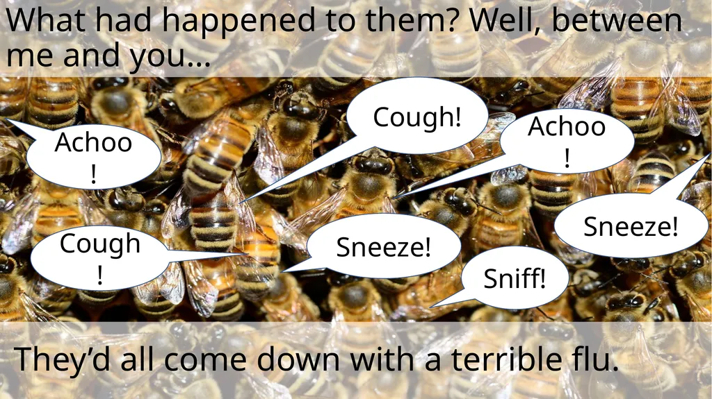 The Littlest Bee Author: Thomas Last In the - slide 12 of 26