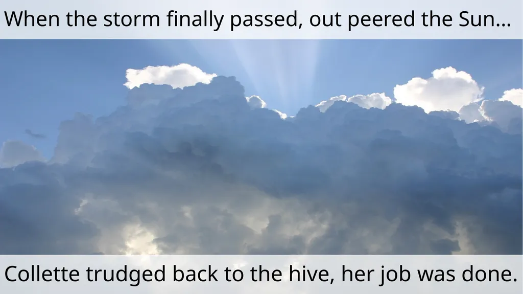 The Littlest Bee Author: Thomas Last In the - slide 20 of 26