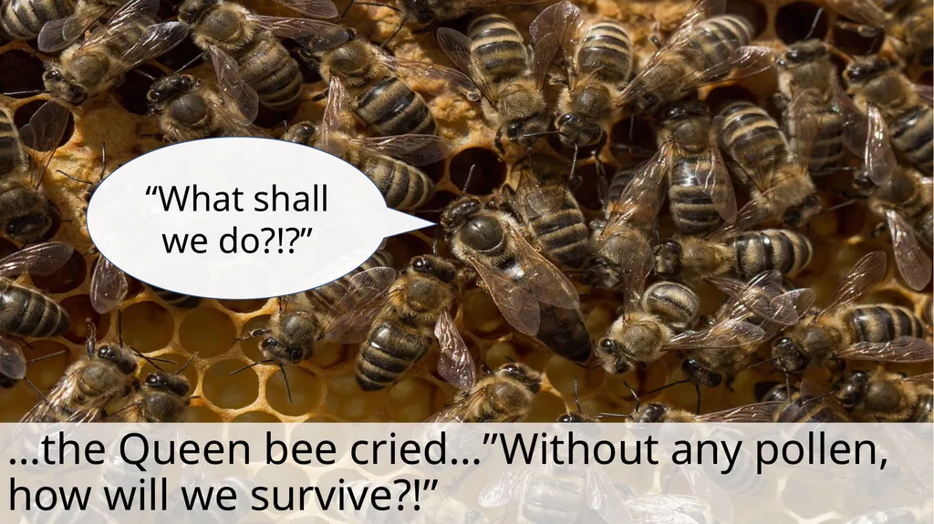 The Littlest Bee Author: Thomas Last In the - slide 15 of 26