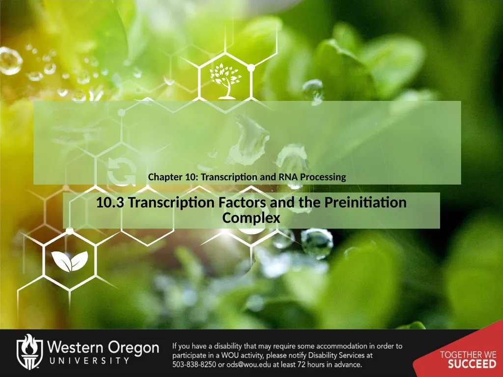 Chapter 10: Transcription and RNA Processing 10.1 - slide 12 of 55