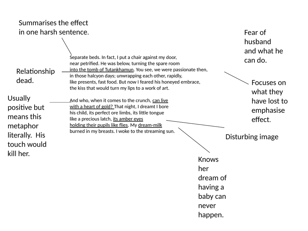 Well known men represented through the forgotten - slide 15 of 16