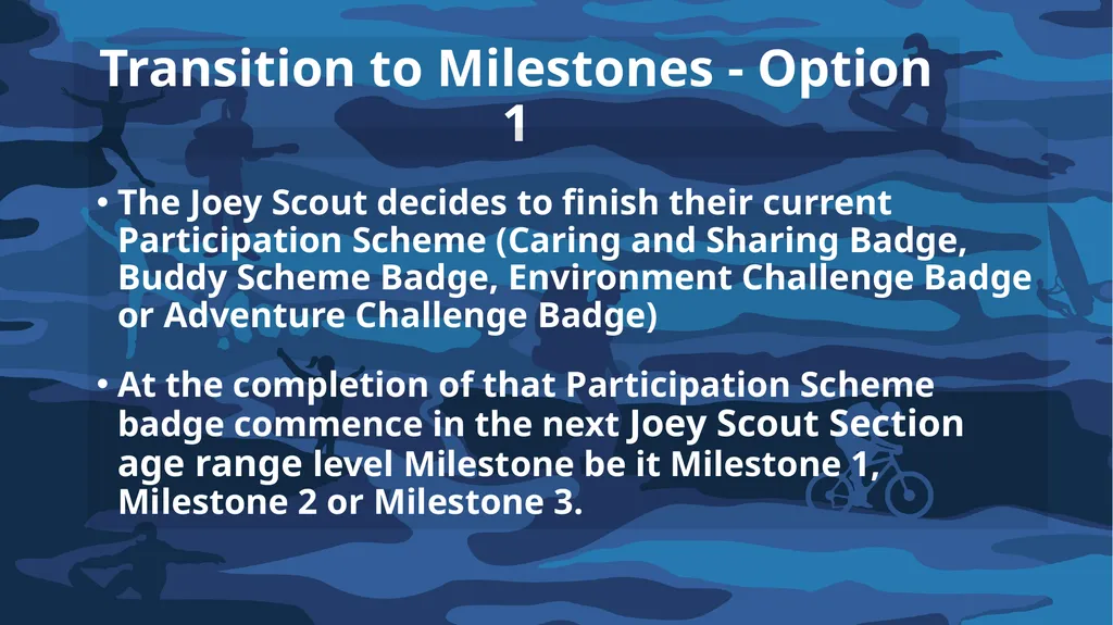 Introduction to Achievement Pathways What are we - slide 33 of 58