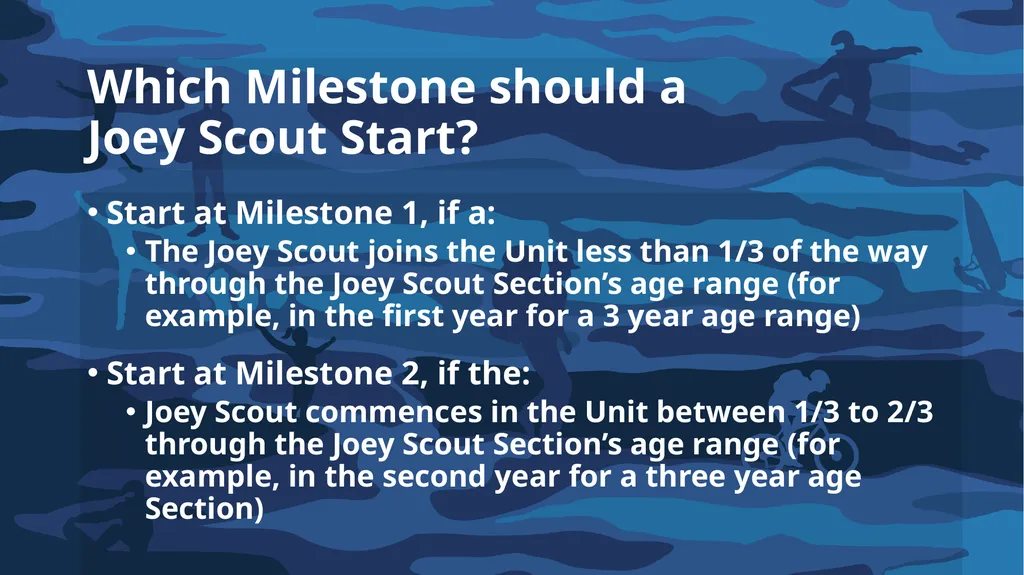 Introduction to Achievement Pathways What are we - slide 30 of 58