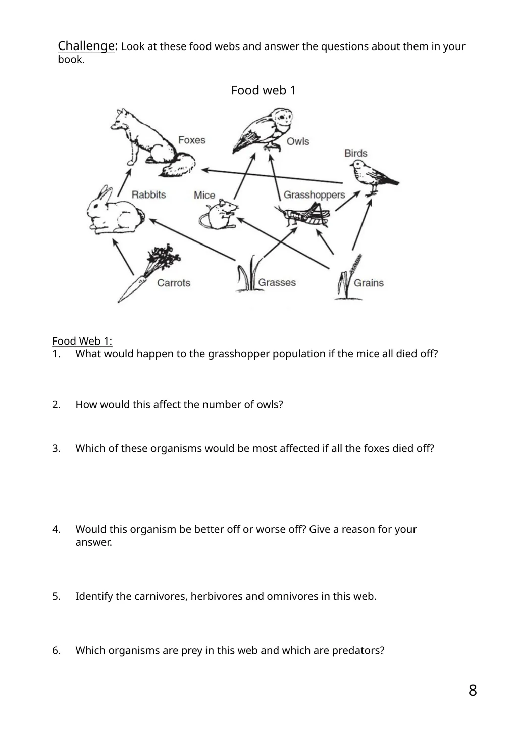 KS3 Science: 9 Ecosystems 9.1 Interdependence - slide 8 of 16