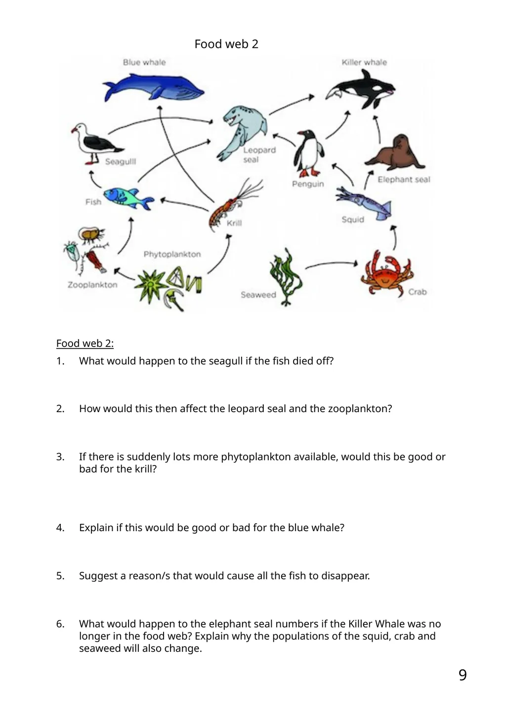 KS3 Science: 9 Ecosystems 9.1 Interdependence - slide 9 of 16