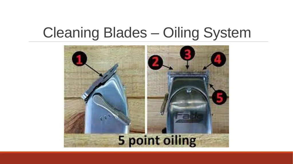 Cleaning Grooming Equipment Introduction Whilst - slide 9 of 19