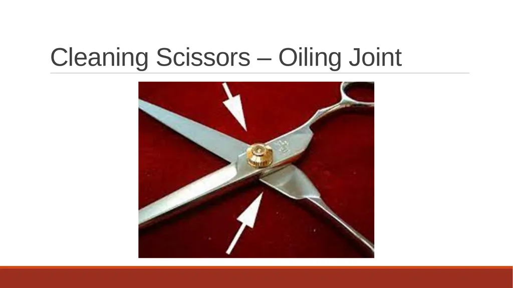 Cleaning Grooming Equipment Introduction Whilst - slide 14 of 19