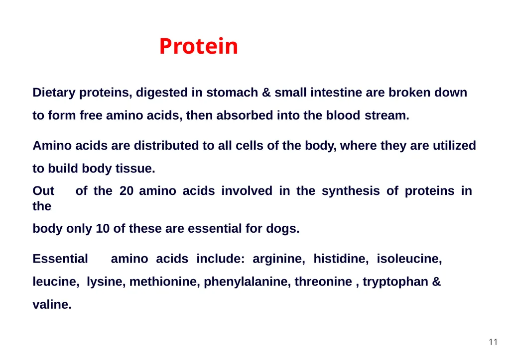 Bihar Animal Sciences University Department of - slide 8 of 20