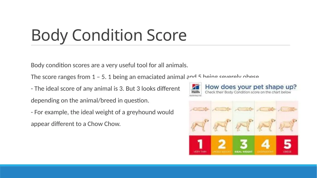 Health Checking Learning Objectives To be able to - slide 13 of 13