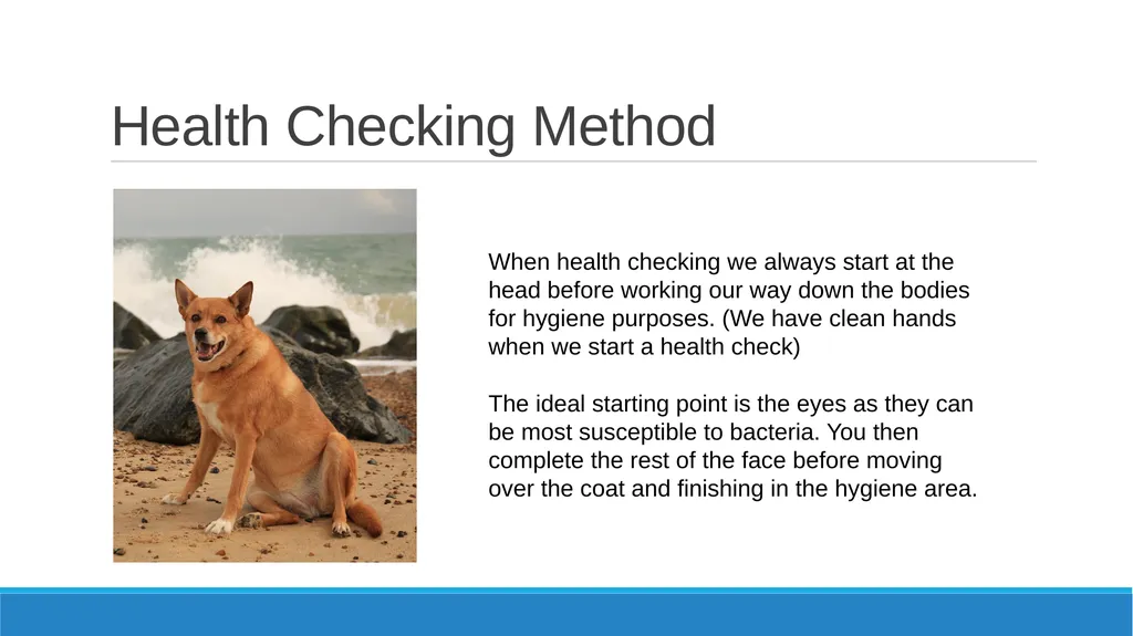 Health Checking Learning Objectives To be able to - slide 7 of 13