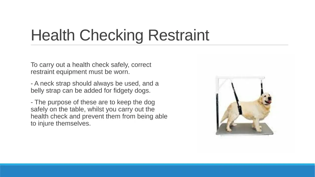 Health Checking Learning Objectives To be able to - slide 6 of 13