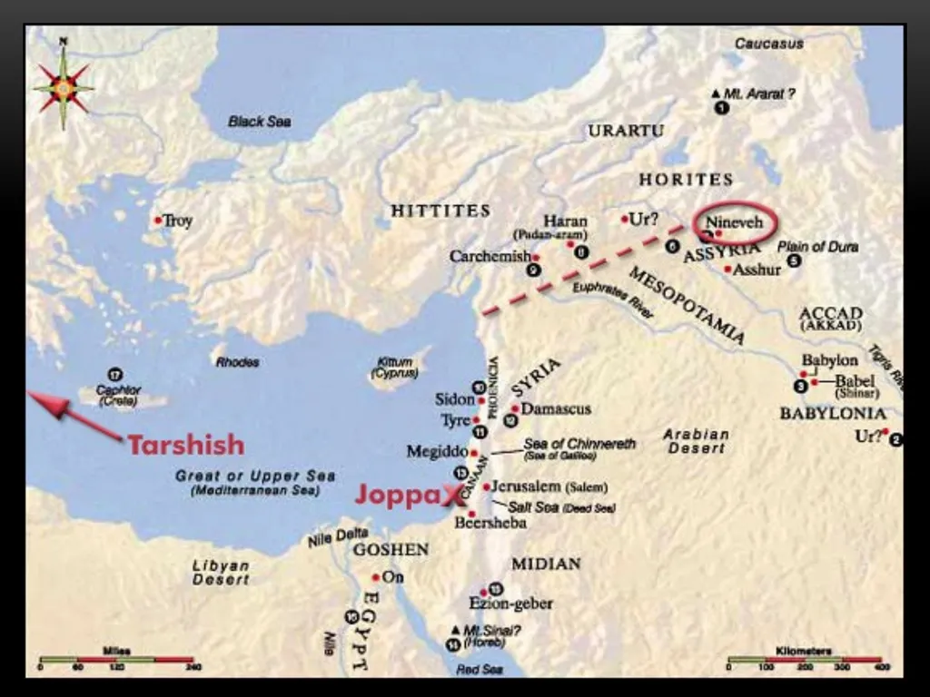 Part 1 “Lessons from Jonah” Lessons From Jonah We - slide 11 of 23