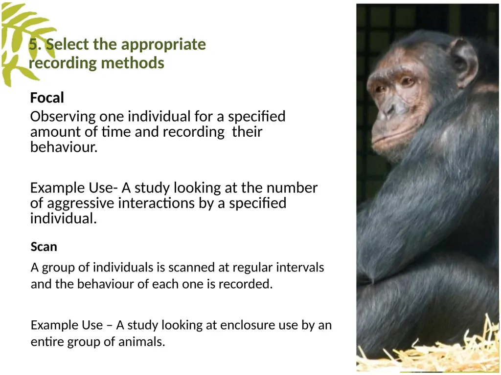 Measuring Behaviour Learning Outcomes Background - slide 23 of 43