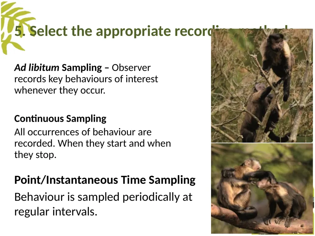 Measuring Behaviour Learning Outcomes Background - slide 27 of 43