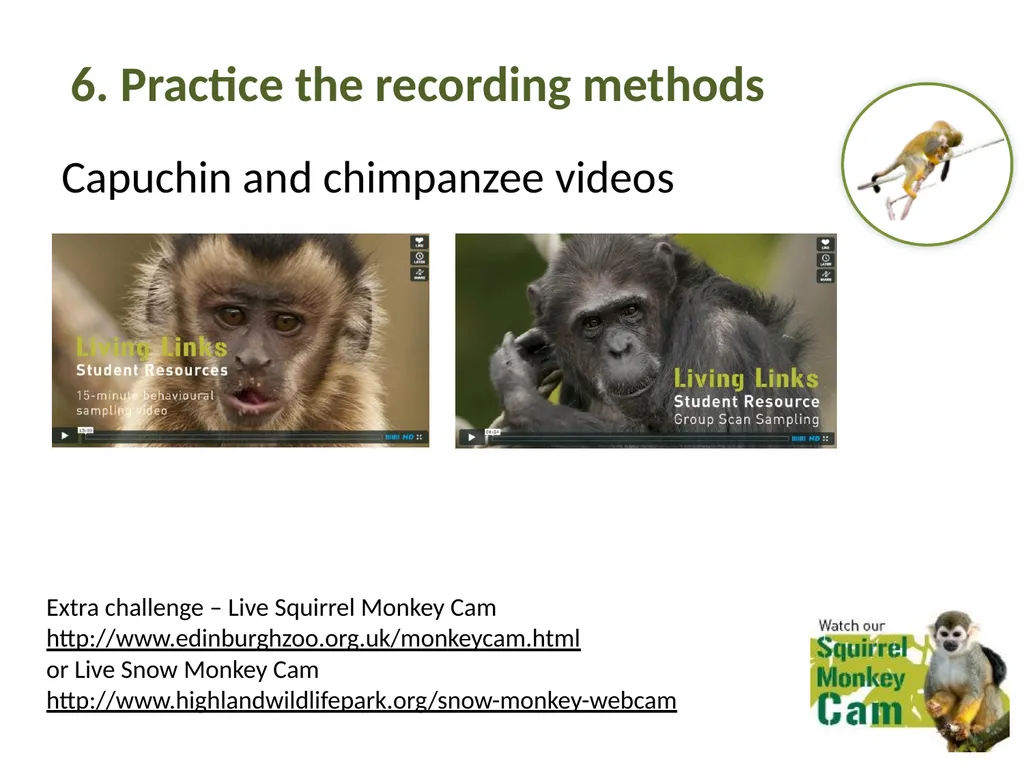Measuring Behaviour Learning Outcomes Background - slide 30 of 43