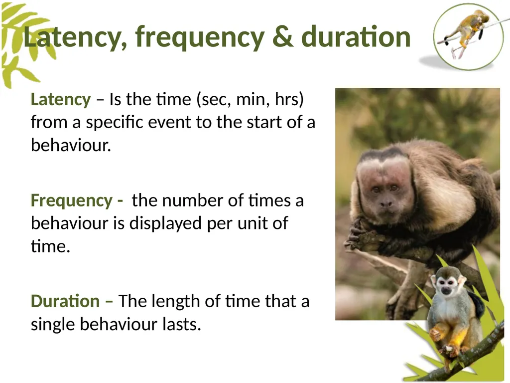Measuring Behaviour Learning Outcomes Background - slide 29 of 43