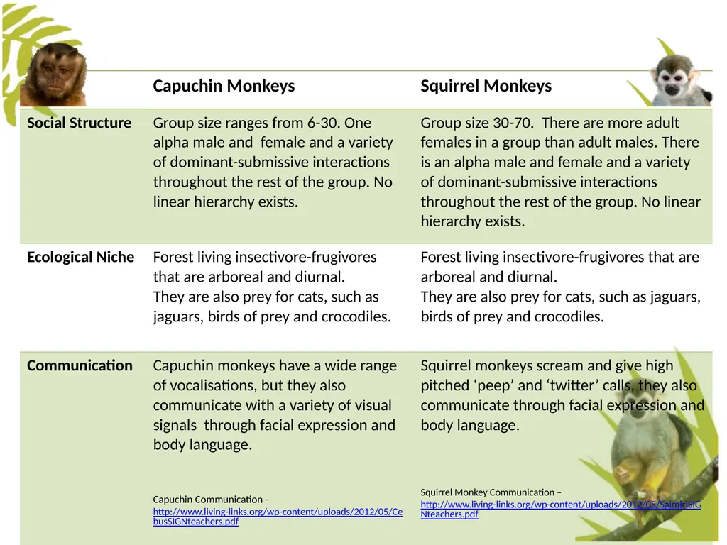 Measuring Behaviour Learning Outcomes Background - slide 11 of 43