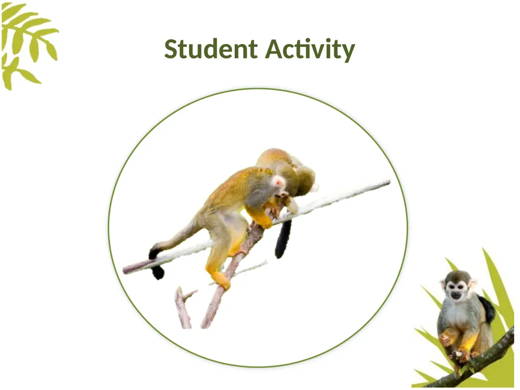 Measuring Behaviour Learning Outcomes Background - slide 3 of 43