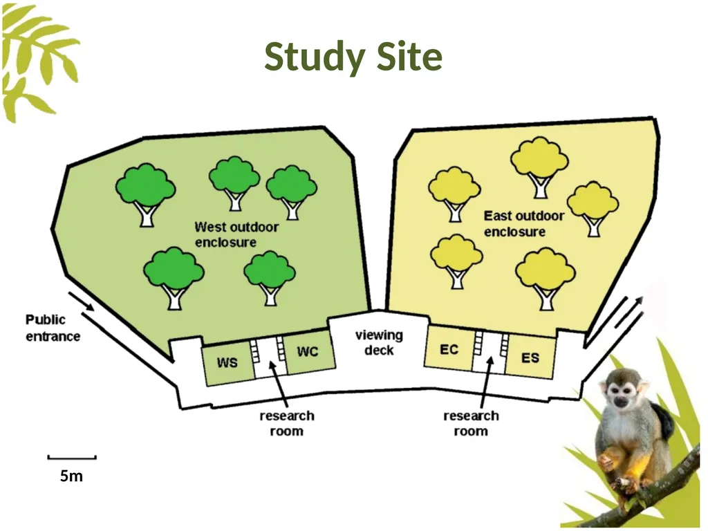 Measuring Behaviour Learning Outcomes Background - slide 14 of 43