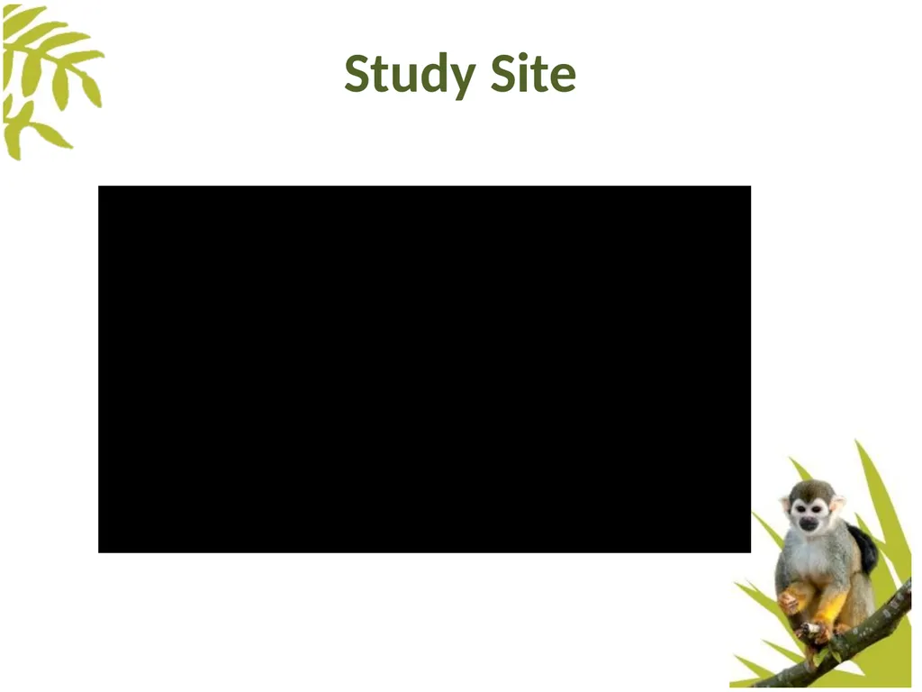 Measuring Behaviour Learning Outcomes Background - slide 15 of 43