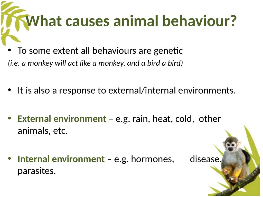 Measuring Behaviour Learning Outcomes Background - slide 5 of 43