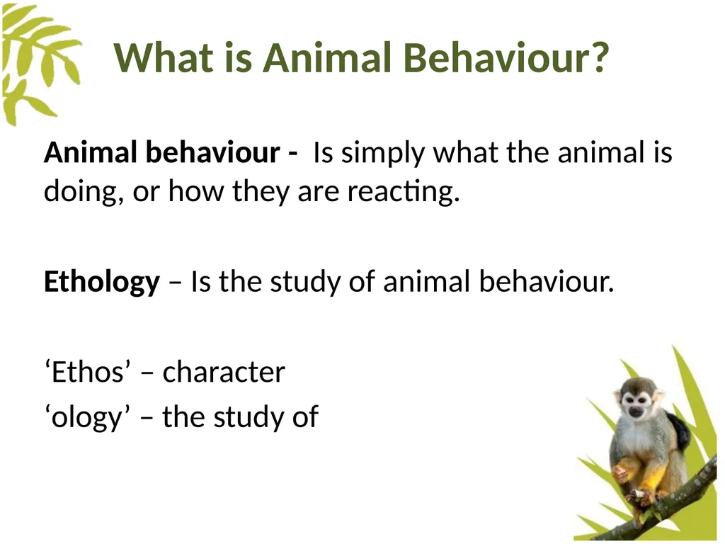 Measuring Behaviour Learning Outcomes Background - slide 4 of 43