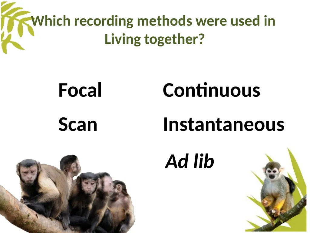 Measuring Behaviour Learning Outcomes Background - slide 28 of 43