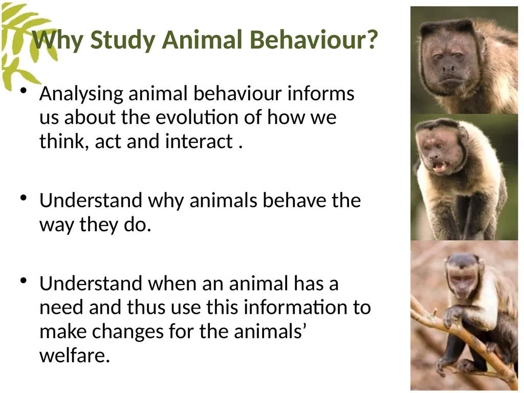 Measuring Behaviour Learning Outcomes Background - slide 7 of 43