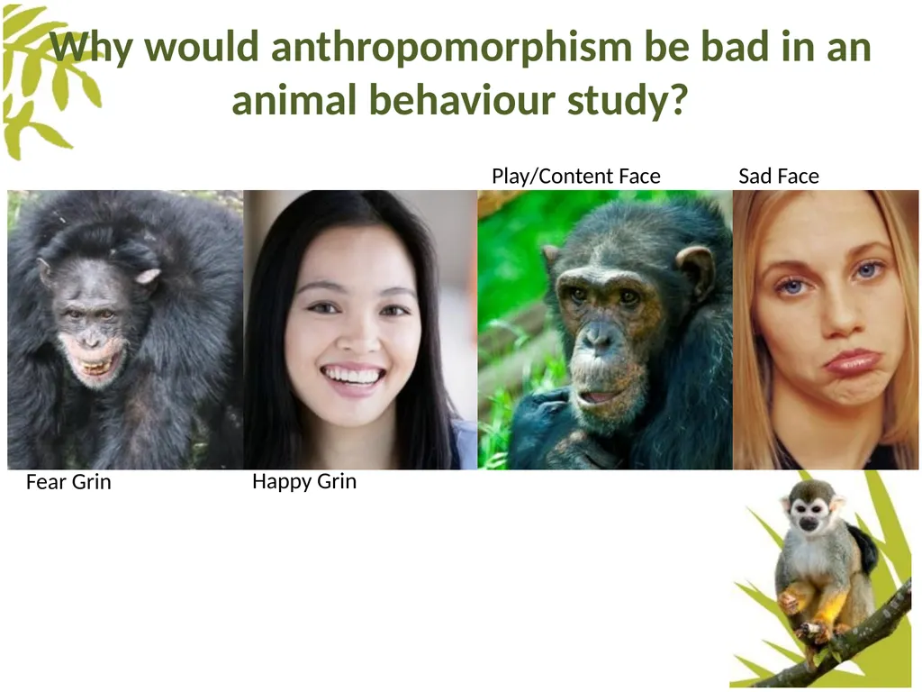 Measuring Behaviour Learning Outcomes Background - slide 40 of 43