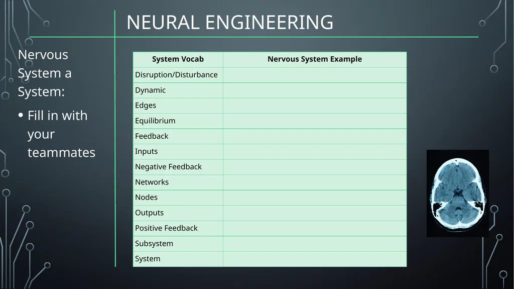 Neural Engineering Neuroprosthetics is Problem - slide 5 of 11