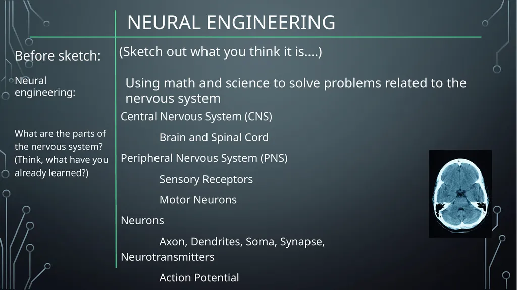 Neural Engineering Neuroprosthetics is Problem - slide 4 of 11