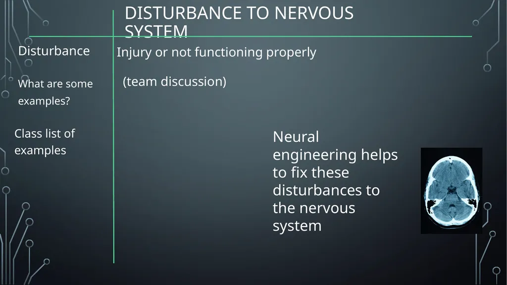 Neural Engineering Neuroprosthetics is Problem - slide 6 of 11