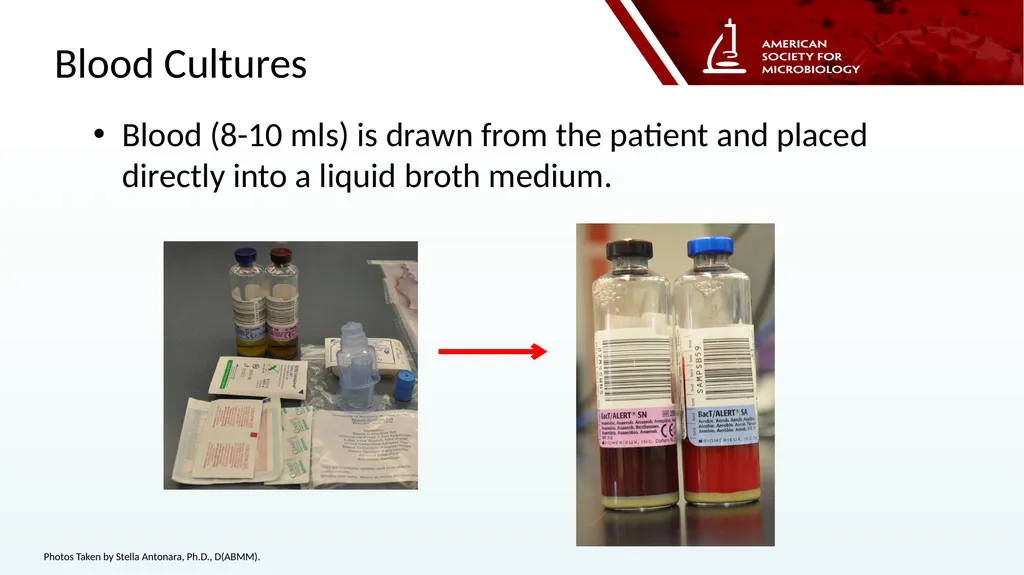 Stella Antonara, Ph.D., D(ABMM) Nationwide - slide 6 of 14