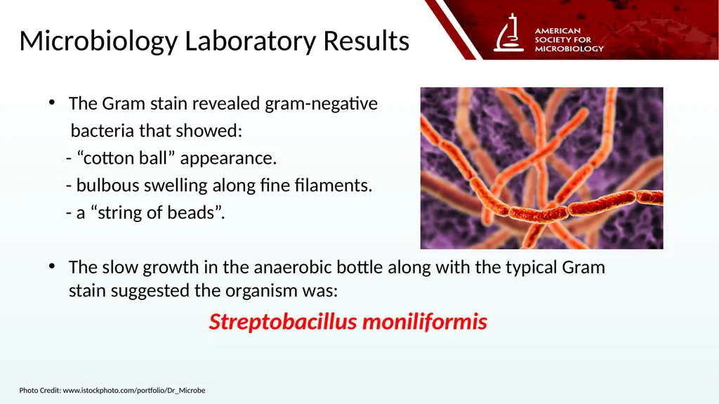 Stella Antonara, Ph.D., D(ABMM) Nationwide - slide 8 of 14