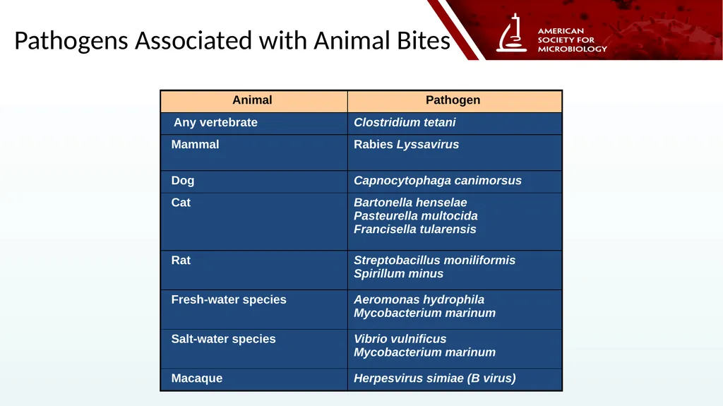 Stella Antonara, Ph.D., D(ABMM) Nationwide - slide 12 of 14