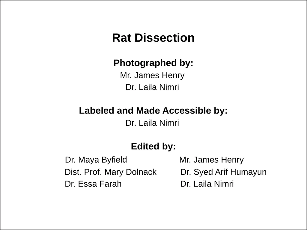 Rat Dissection Photographed by: Mr. James Henry - slide 1 of 17