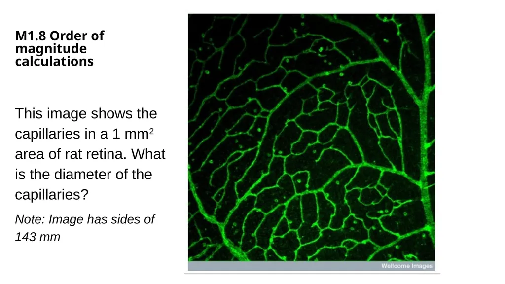 This powerpoint contains activities and resources - slide 22 of 40