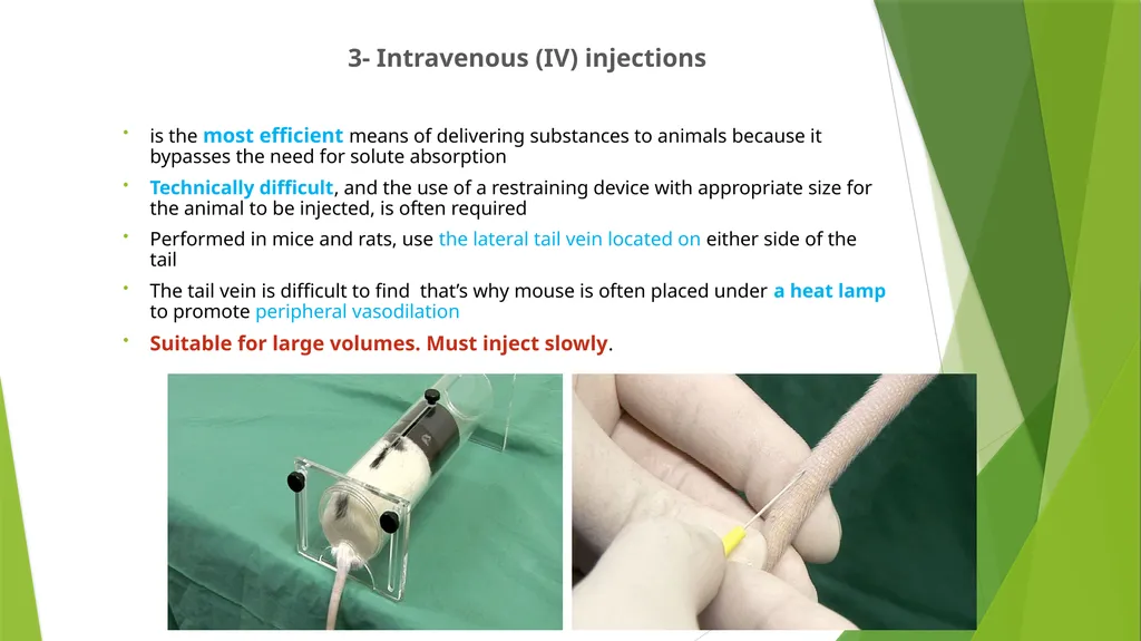 Department of Pharmacology and Toxicology - slide 14 of 21