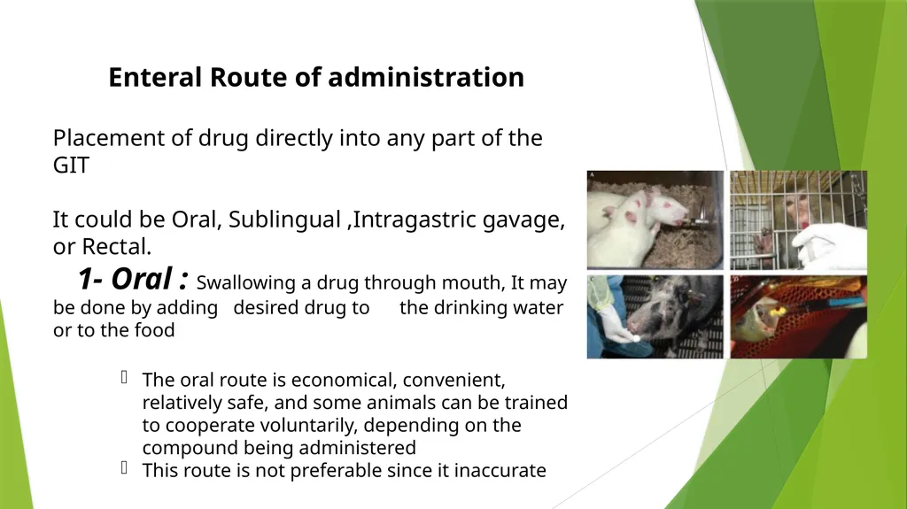 Department of Pharmacology and Toxicology - slide 8 of 21